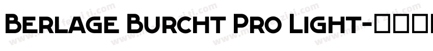 Berlage Burcht Pro Light字体转换